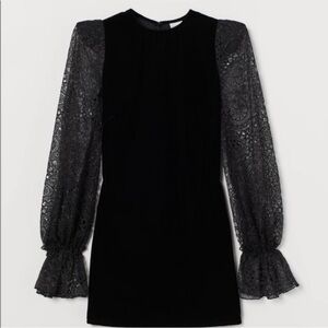 The Vampire’s Wife Neo Goth Lace Sleeve & Velvet Dress